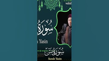 سورة يس#قران_كريم #قرآن #سورة_البقرة #سورة_الكهف #سورة_الواقعة