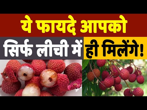 Health Benefits Of Litchi: इस गर्मी जरूर खाएं लीची, वजन कम करने के साथ ही मिलेंगे ये फायदे