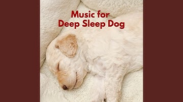 Groovy Forgetting Mirrors