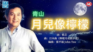 【回顧金曲老歌 MTV】青山Ching Shan《月兒像檸檬》Yue Er Xiang Ning Meng (Original Music Video)