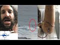 Surfer ids great white shark in banyans hawaii shark attack