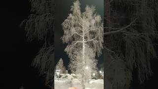 16.01.24 Волшебный зимний вечер.