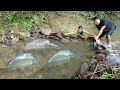 Top Video Fishing: Primitive Skills Catch Big Fish - Primitive Cooking - Eating Delicious
