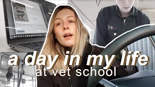 A Day In My Life at Vet School | Vet School Vlog