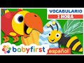 Huevos Sorpresa con Larry el Loro | Aprender Nombres de Animales para Niños | BabyFirst Español