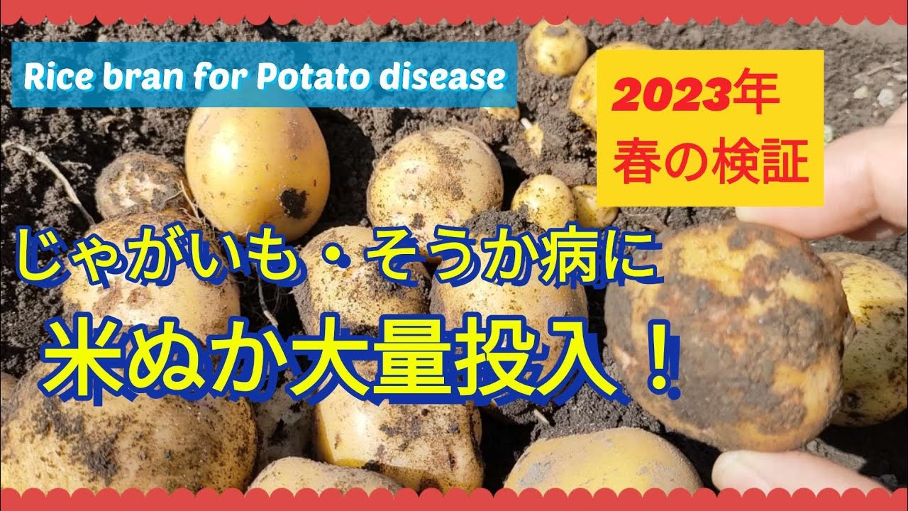 ジャガイモ そう か 病 対策