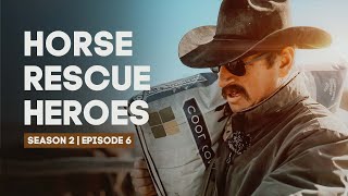 Horse Rescue Heroes | Season 2 | Episode 6 | Bad News