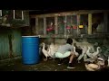 أشهر اغنيه اسبانيه اغنية Des Ba Seto أشهر اغنيه اسبانيه اغنية Des Ba Seto