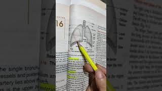 BD's Chapter 16 Lungs Complete (Part 1) easy to understand