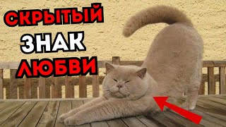 : 25 ,    : "  "