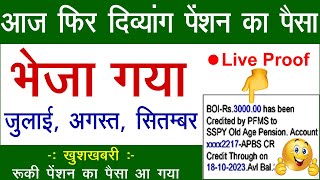 आज फिर दिव्यांग का पैसा भेजा गया | divyang pension kab aaegi | viklang pension | up_pension