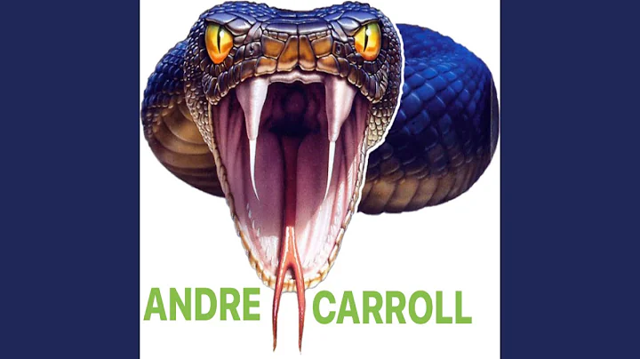 ANDRE CARROLL