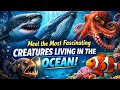 Meet the Most Fascinating Creatures Living in the Ocean.