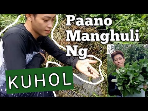 Paano Mang Huli