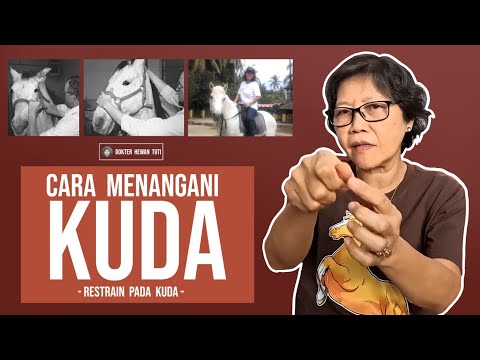 Video: Cara Mengobati Kuda yang Luka Ketika Tidak Ada Dokter Hewan