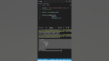 Pretty print a JSON! #shorts #json