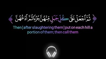 وإذ قال إبراهيم رب أرني كيف تحيي الموتى✨عبدالله أحمد شعبان✨كروما قرآن كريم خلفية سوداء black ground🖤