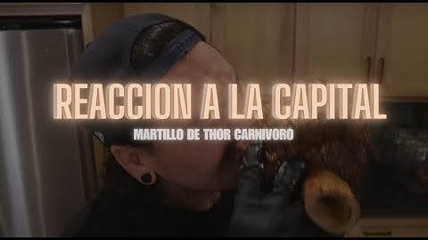 Reacción a LA CAPITAL | Martillo de Thor Carnívoro 🔨|
