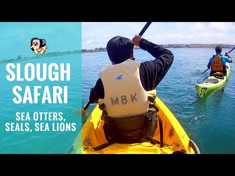 The Best Attractions In Moss Landing Destimap Destinations On Map