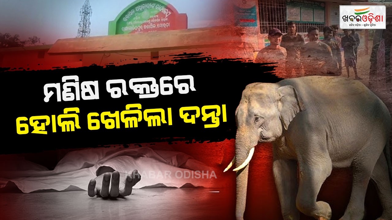 Mishap In Holi: Elephant Havoc Kills Youth | Mayurbhanj | Khabar Odisha