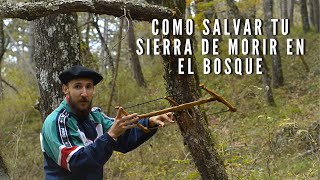 No uses una SIERRA sin aprender este TRUCO (consejos BUSHCRAFT y SUPERVIVENCIA)