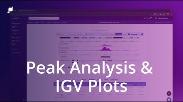 Peak Analysis & IGV Plots | Pluto Bio