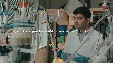 The Campaign for PSU - Bashar