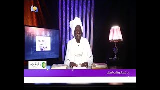 سودان عزة  - سيد خليفة - سفير الأغنية السودانية
