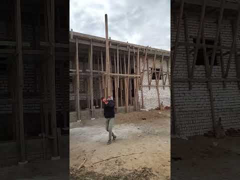 ٣١ يناير ٢٠٢٤