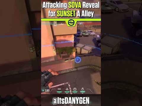 Easy Sova Reveal