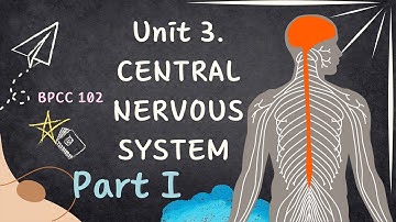 BAPCH IGNOU- BPCC 102 | BIOPSYCHOLOGY | UNIT 3 | CENTRAL NERVOUS SYSTEM | PART-1 |