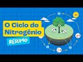 Ciclo do Nitrogênio