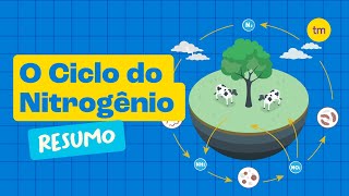 CICLO DO NITROGÊNIO | Como Funciona?