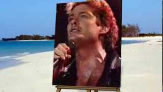 David Hasselhoff  -  "Flying On The Wings Of Tenderness" live 1989