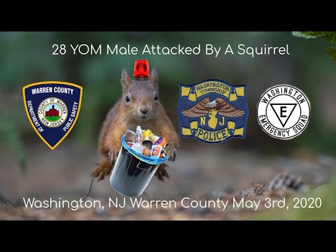 LISTEN: New Jersey Man Attacked By Squirrel While Taking Trash Out