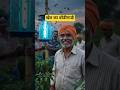 रात में ये लाइट जलते ही कीड़े खुद फँसने लगते हैं! 😱🌶️ | #shorts #trending #farming