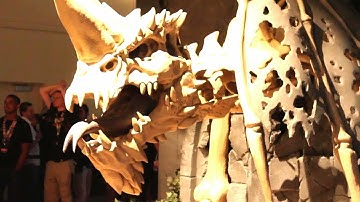 Neverwinter - PAX Prime 2012 Recap