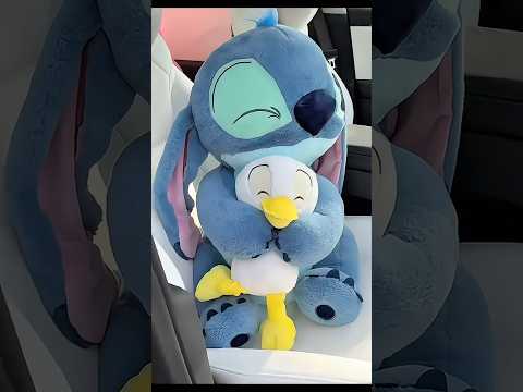 Best seat buddies ever: chaos meets quack! 🐾💥🦆❤️ #shorts