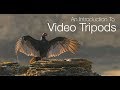 An Introduction To Video Tripods