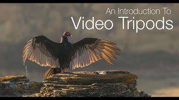 An Introduction To Video Tripods