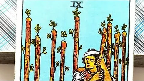 Knight of Pentacles, Feelings in Love Reading,