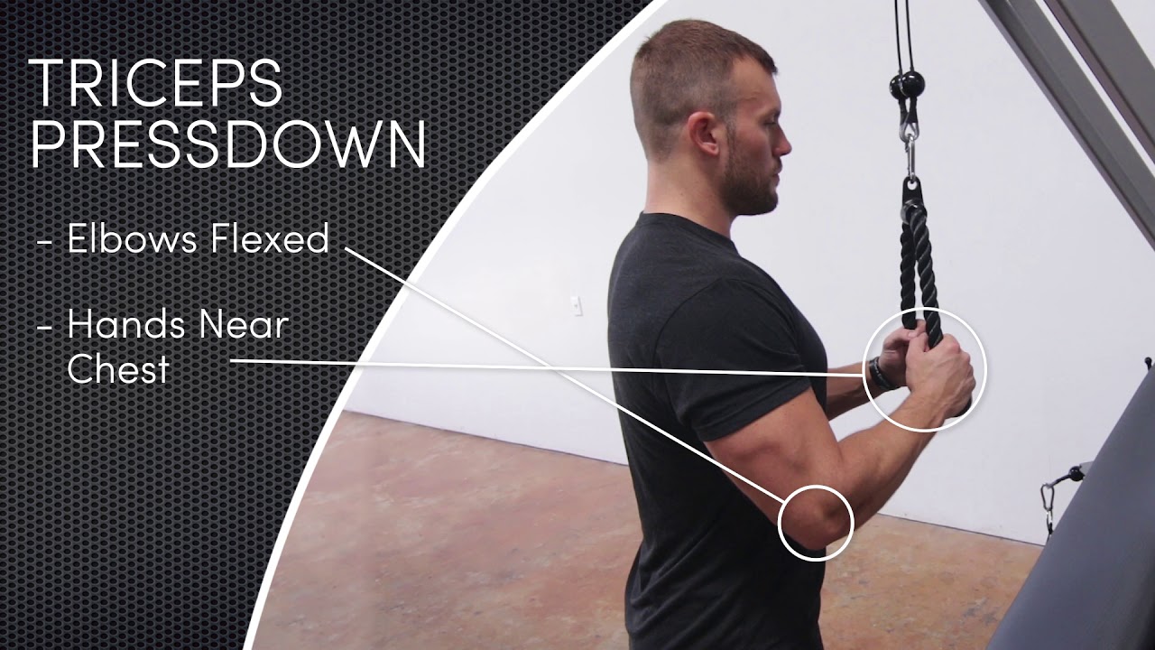 ARX Omni - Triceps Pressdowns Tutorial exercise equipment for sale near me