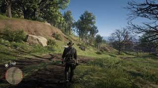 Red Dead Redemption 2