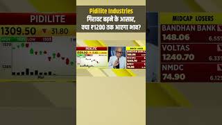 Pidilite Industries: गिरावट बढ़ने के आसार, क्या ₹1200 तक आएगा भाव? जानें एक्सपर्ट्स की राय