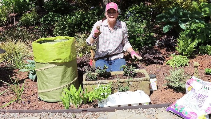 Transplanting Shade-loving Perennials Into 2024