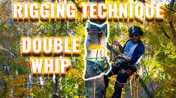 Tree Rigging Basics: Double Whip