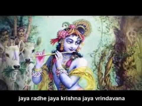 Jaya radhe jaya krishna jaya vrindaban