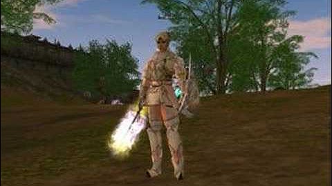 Lineage 2 custom skills, armor, items, npc, locations e.t.c