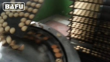 rotary feeding system,cookies packaging machine, biscuit packaging machine