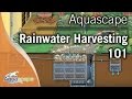 Aquascape's Rainwater Harvesting 101